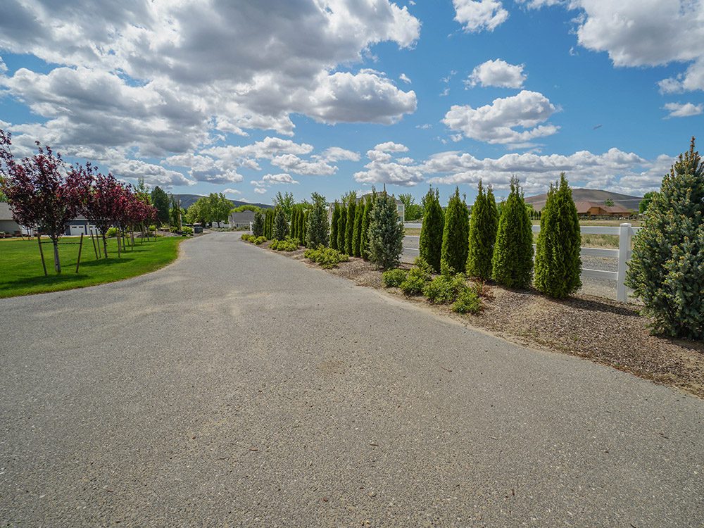 driveway lined with trees