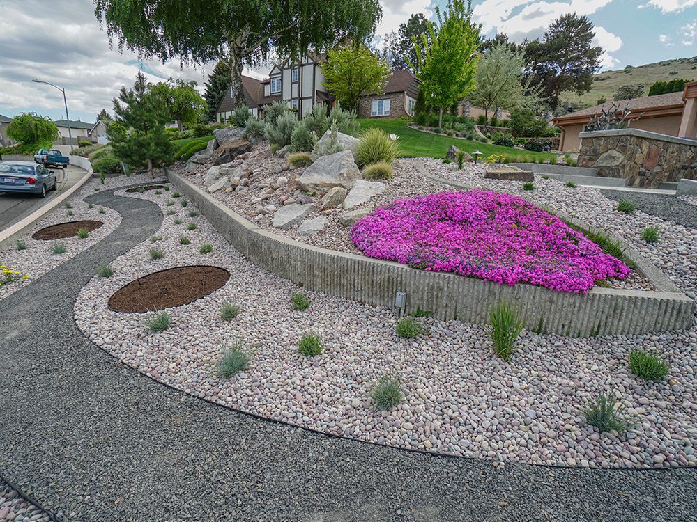 rock pathway surrounded by rock/shrub gardens