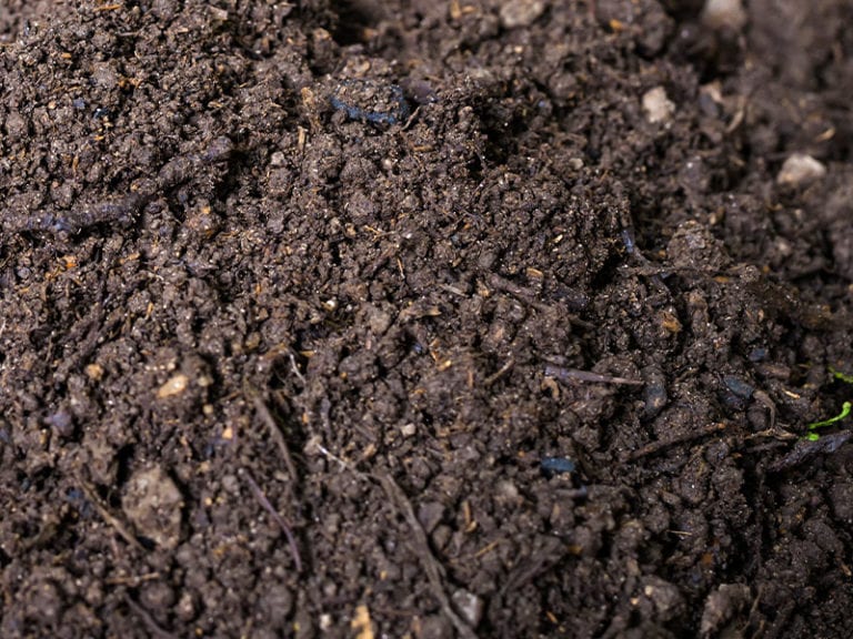 Bulk Soil For Landscaping Projects Large & Small Serving Eastern WA